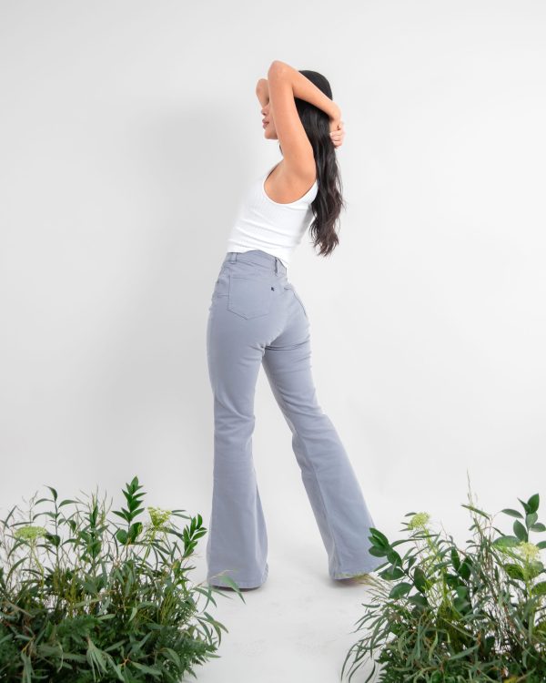 FLARE GRIS